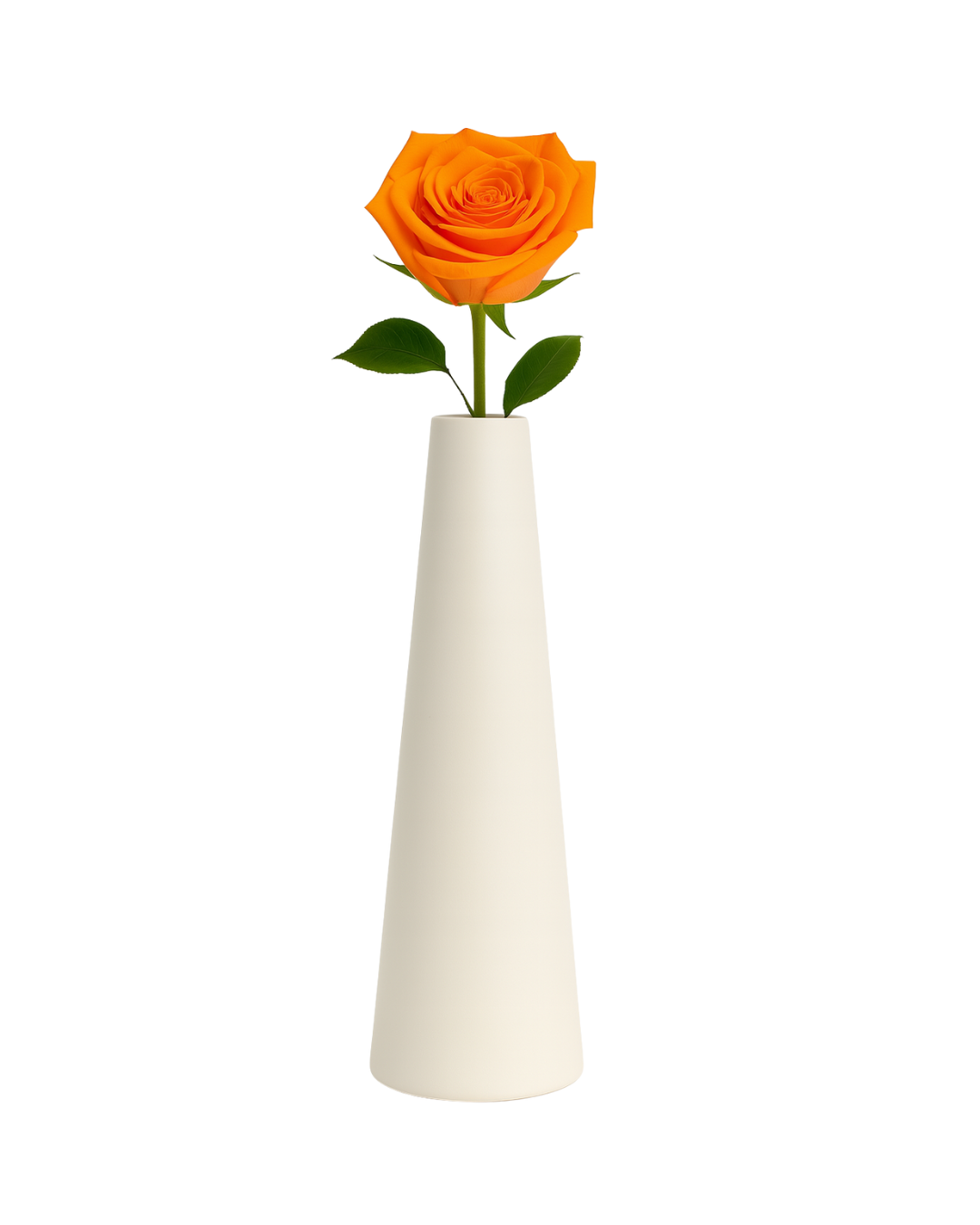 Single Stem Bright Orange Preserved Rose in Vase | Tesoro Bloom