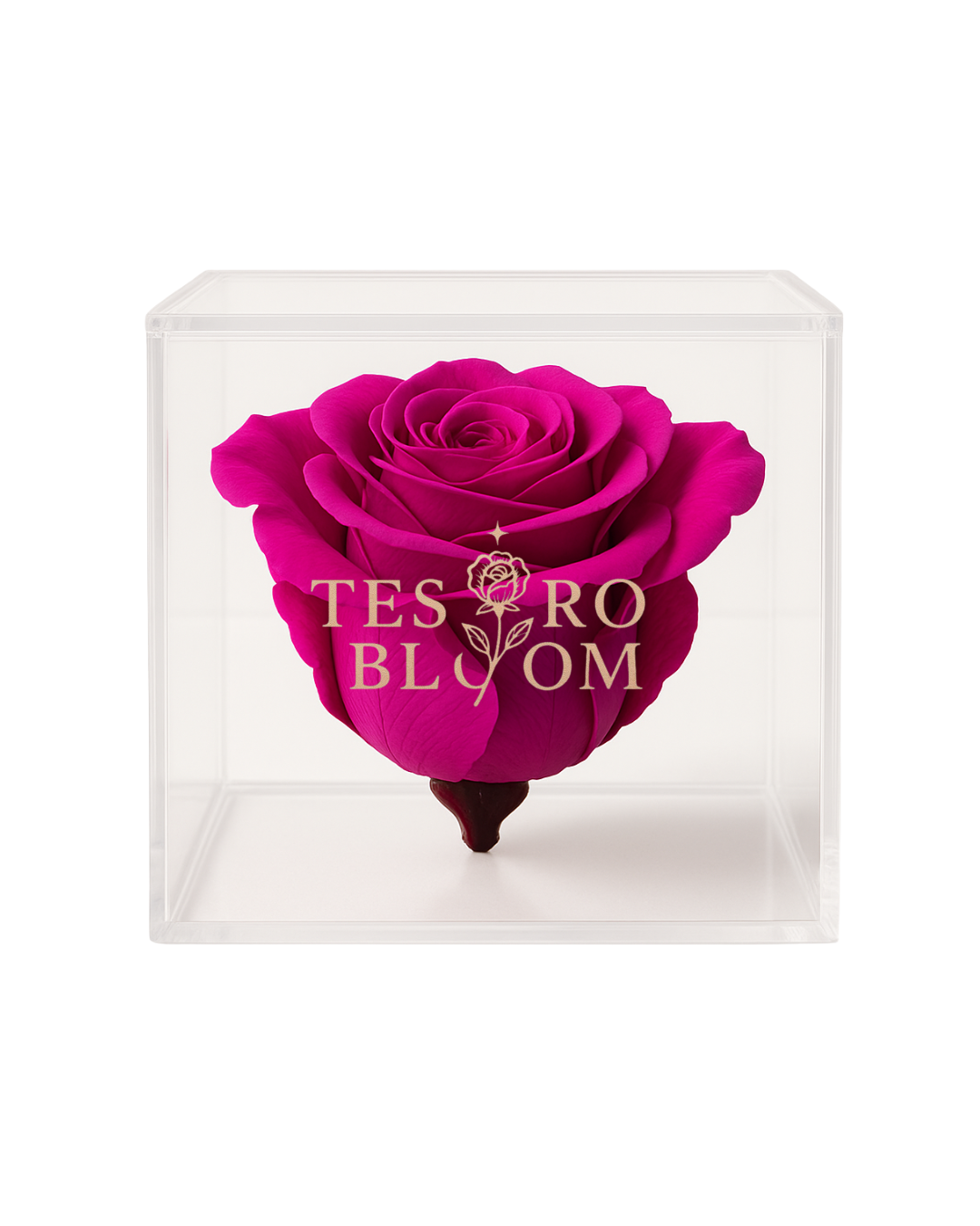 Fuchsia Preserved Rose in Acrylic Box | Tesoro Bloom Forever Rose
