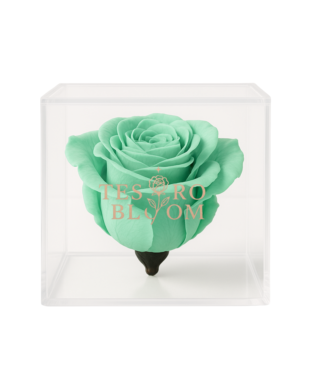 Serene Light Green Preserved Rose in Acrylic Box | Tesoro Bloom