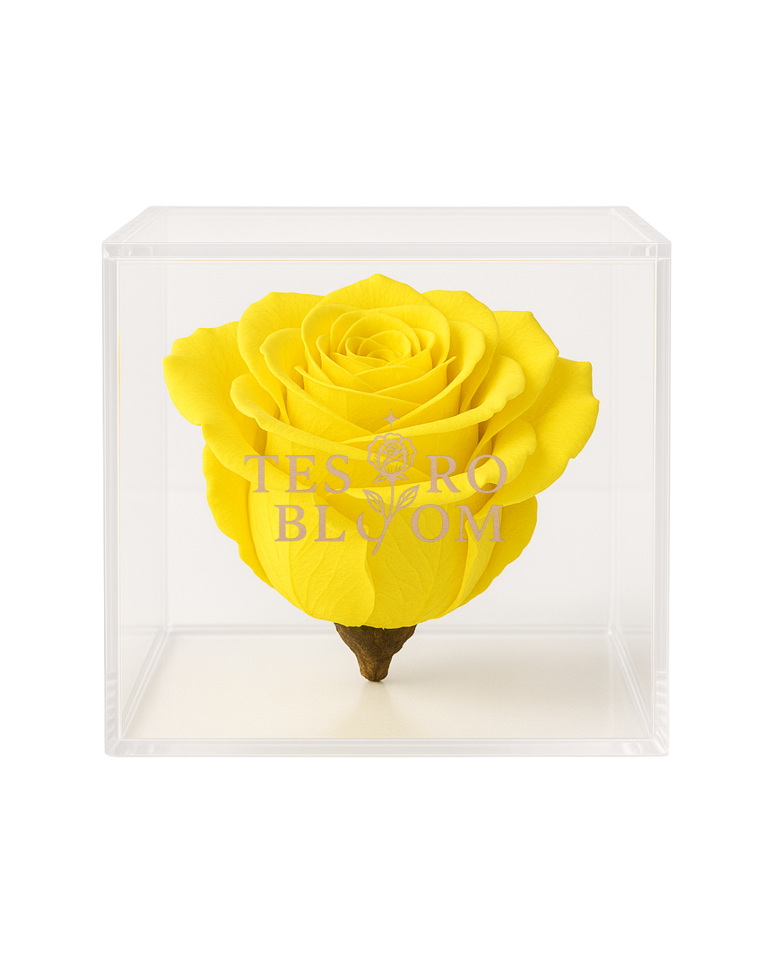 Sunny Yellow Preserved Rose in Acrylic Box | Tesoro Bloom