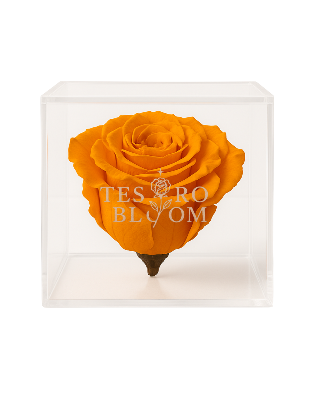 Vibrant Orange Preserved Rose in Acrylic Box | Tesoro Bloom