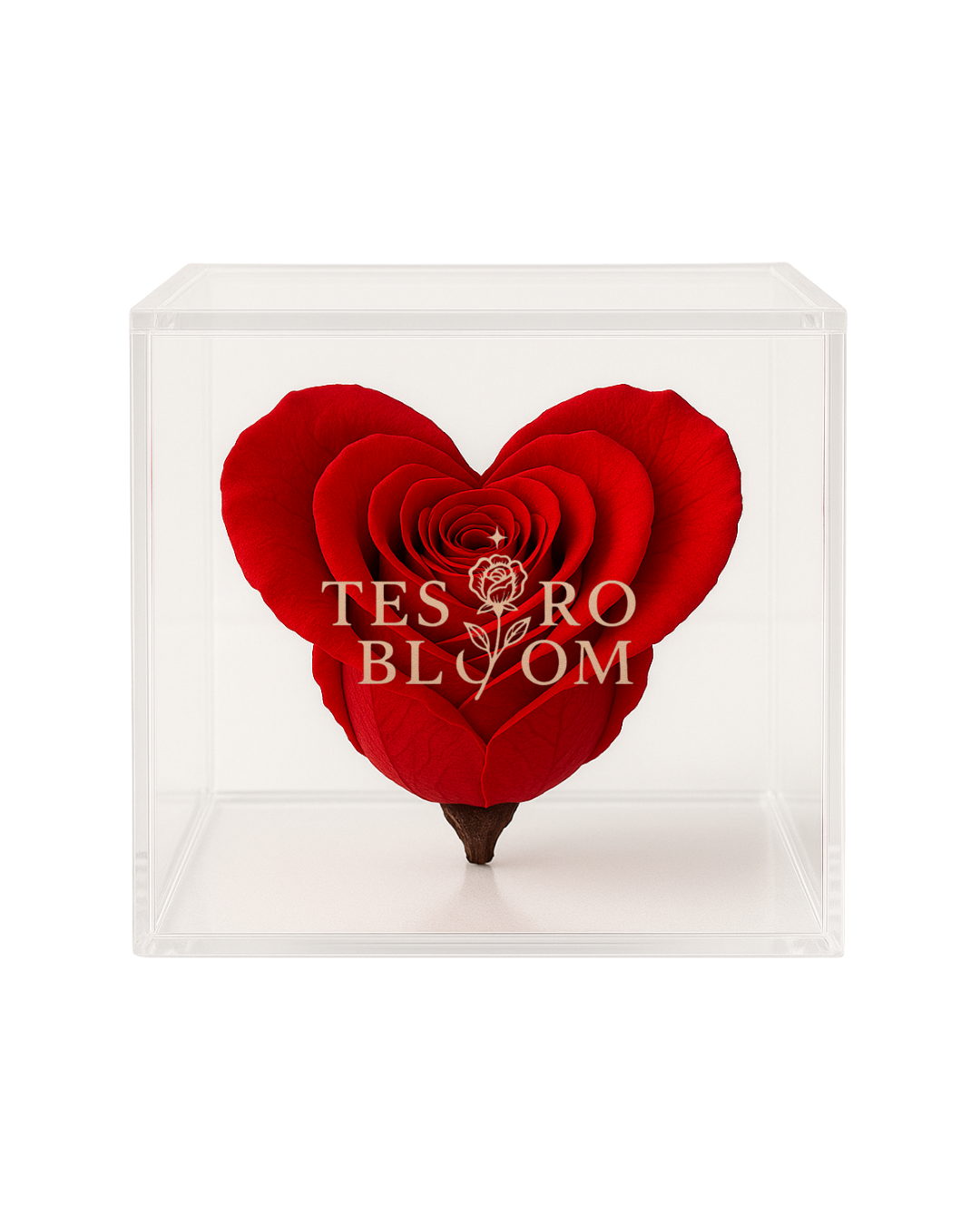 Red Heart Preserved Rose in Acrylic Box | Tesoro Bloom