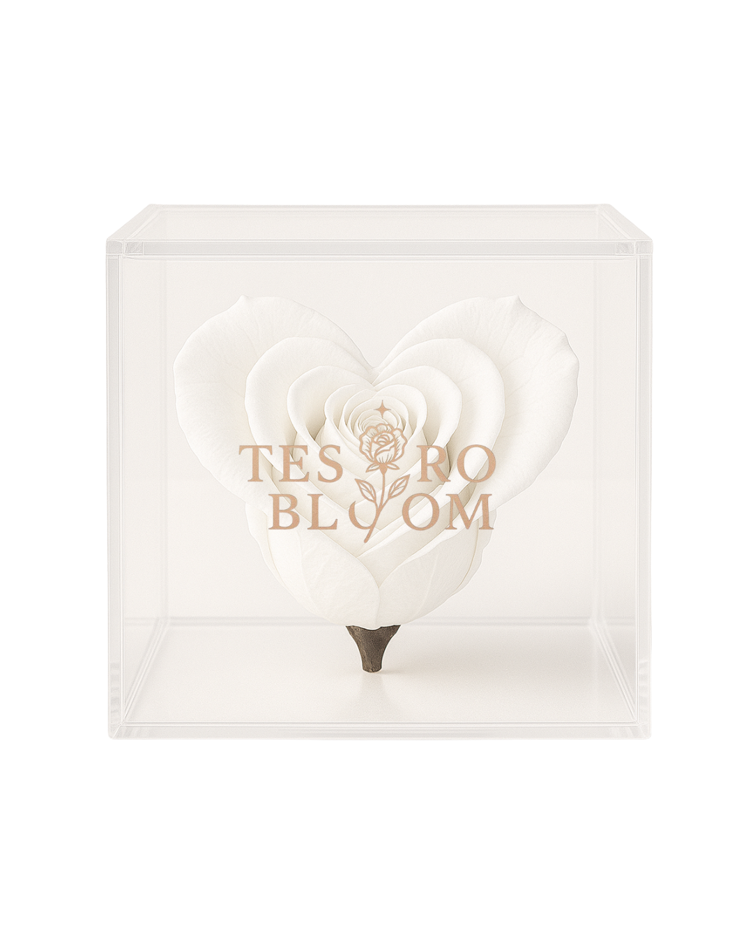 White Heart Preserved Rose in Acrylic Box | Tesoro Bloom