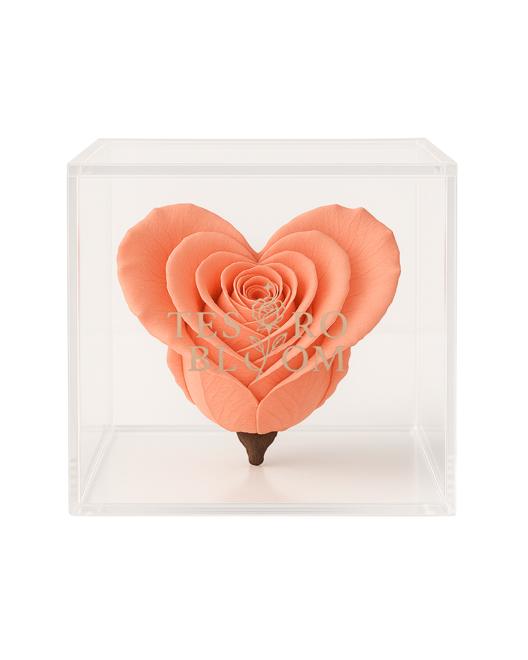 Peach Heart Preserved Rose in Acrylic Box | Tesoro Bloom