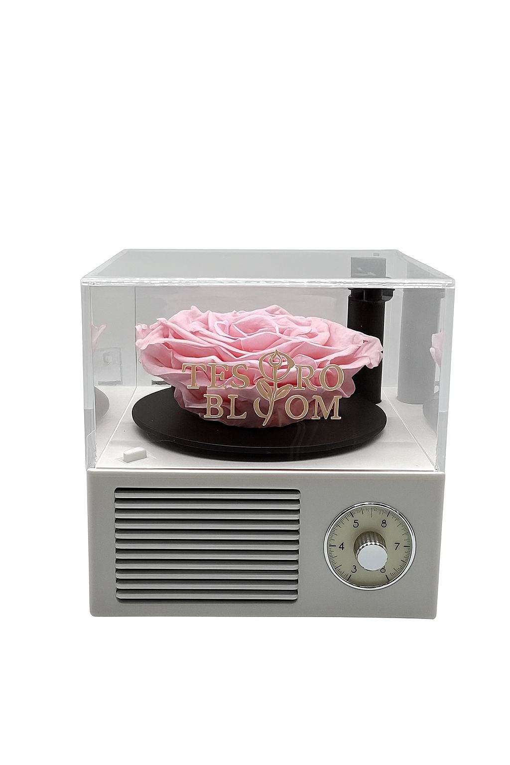Pink Preserved Roses in Music Box Display Case | Tesoro Bloom